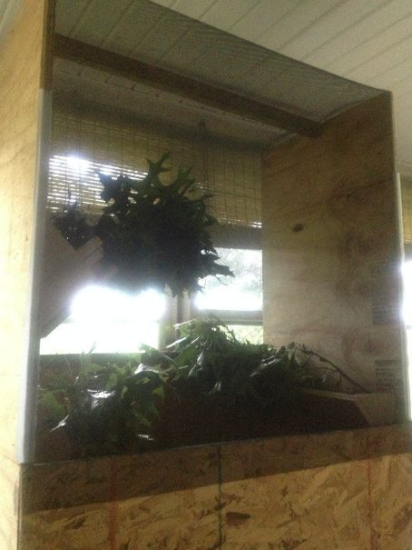 The Mothery 03-Fresh Air