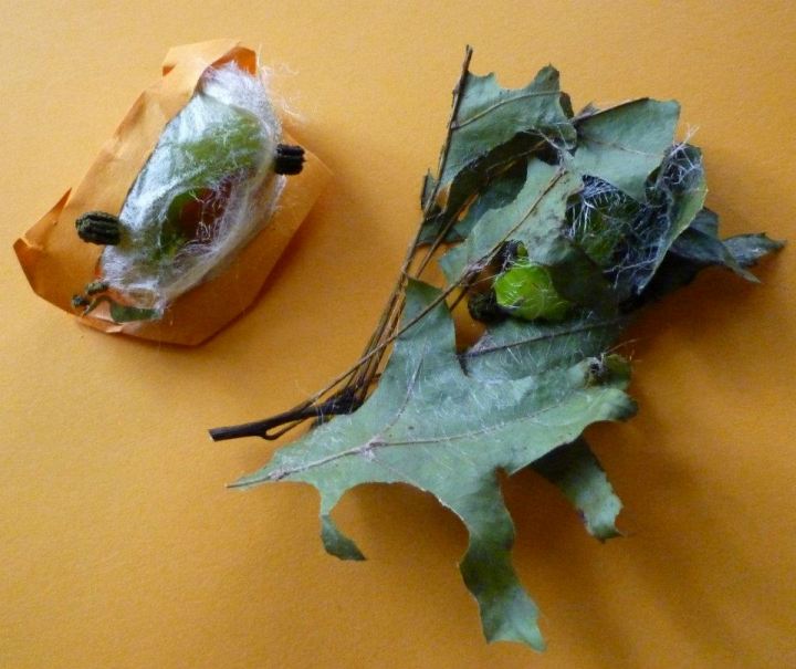 If it fits, wear it.