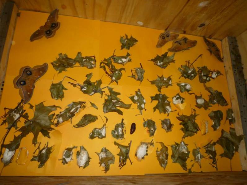 Class to matriculate in 2014