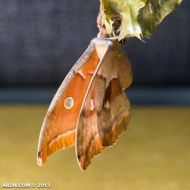 But Andy Got some good pictures.